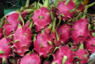 Pitayas expostas na feira, destacando a venda de pitayas frescas com sua cor vibrante e atrativa.
