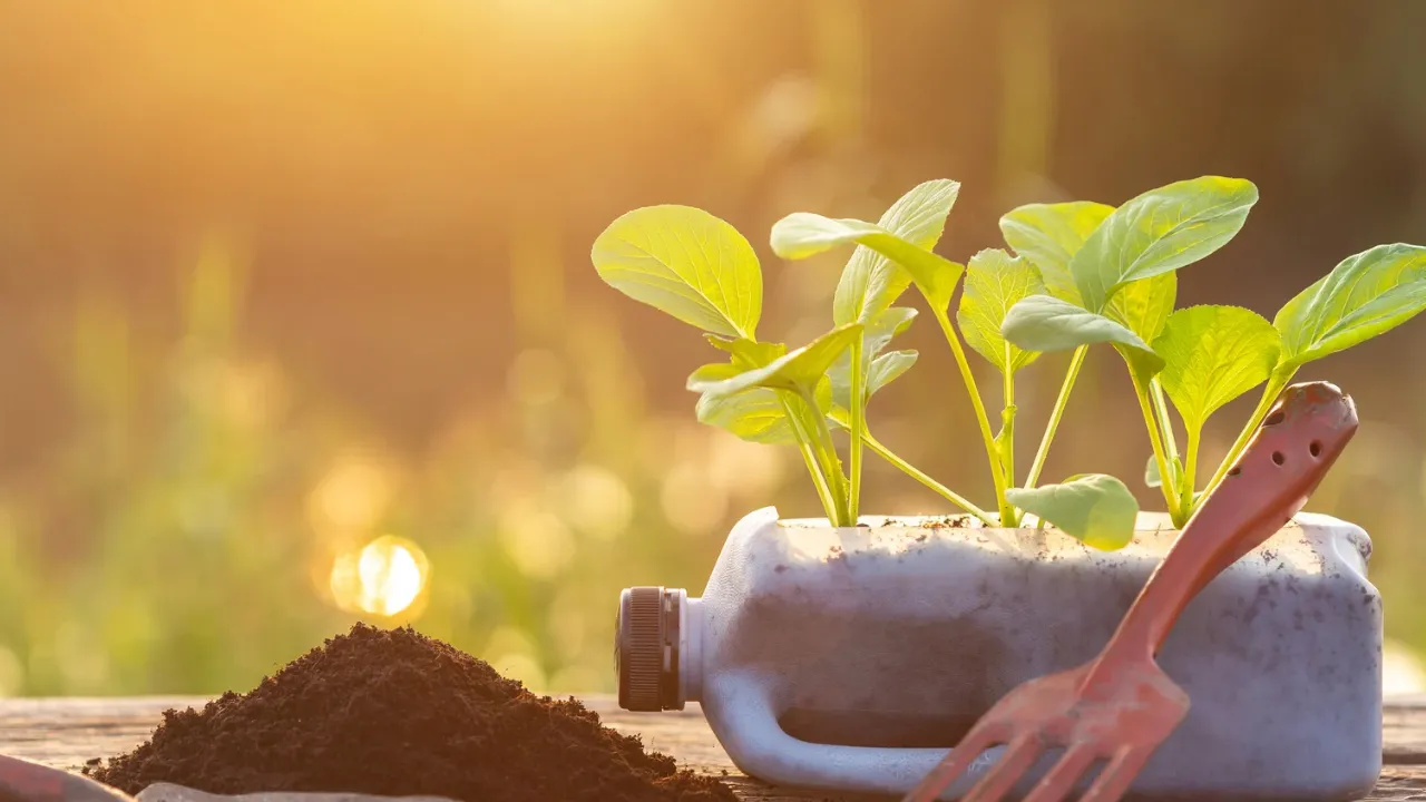 Como Criar uma Horta de Temperos com Recipientes Reciclados