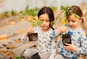 Jardinagem para Crianças: Benefícios do Contato com a Natureza