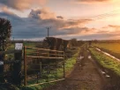 Como era a vida na roça antigamente: 5 curiosidades