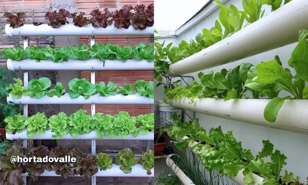 Horta hidropônica vertical em PVC revoluciona quintais