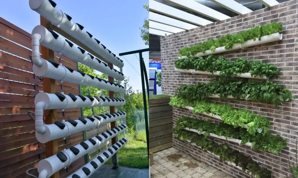 Horta hidropônica vertical em PVC revoluciona quintais