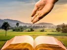 O que a Bíblia ensina sobre plantar, colher e confiar no tempo de Deus