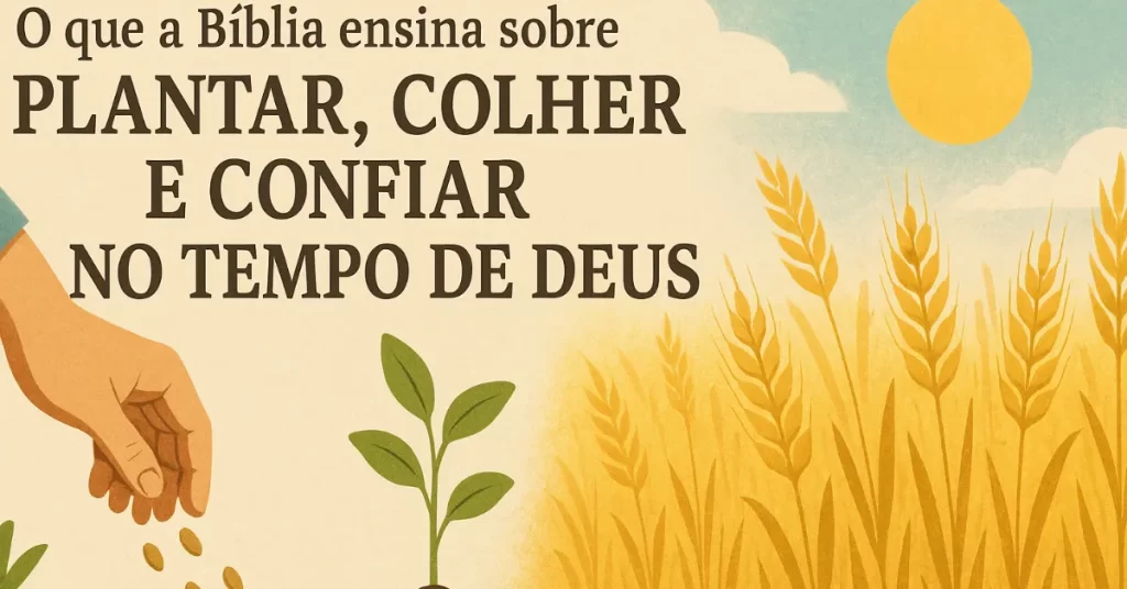 O que a Bíblia ensina sobre plantar, colher e confiar no tempo de Deus