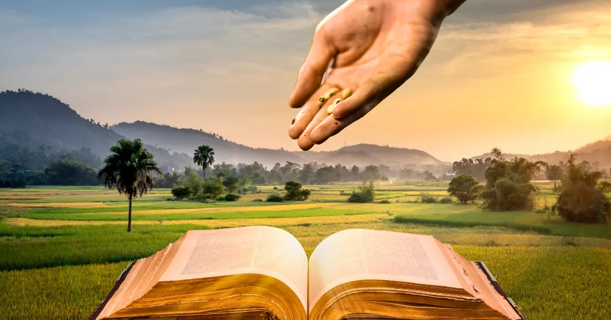 O que a Bíblia ensina sobre plantar, colher e confiar no tempo de Deus