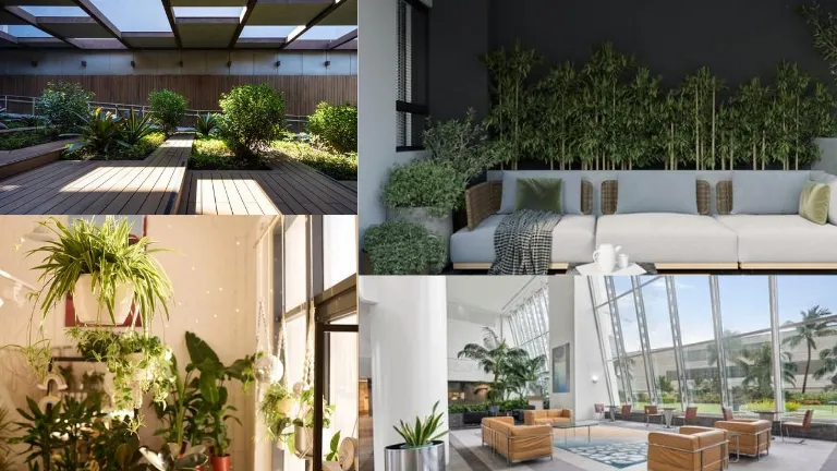 conexão com a natureza em ambientes variados, evidenciando o carinho e a atenção dedicados ao bem-estar e à harmonia."